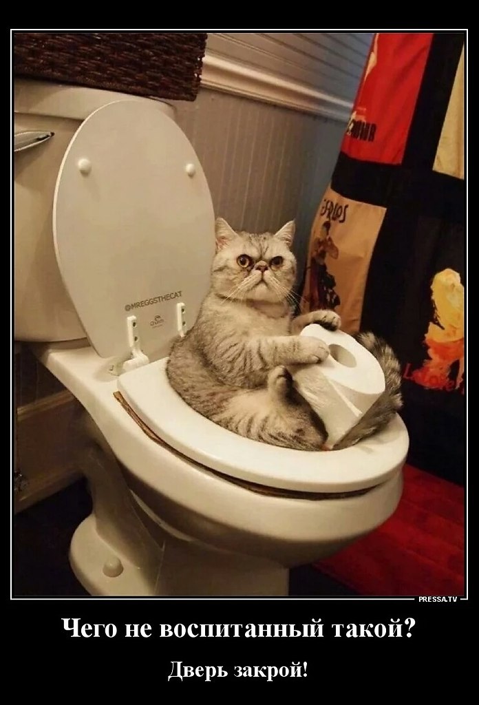  ......