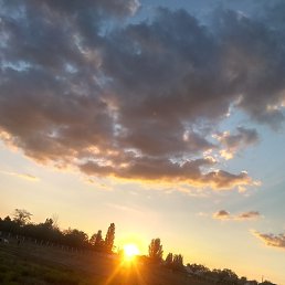 ������, �������, 24 ����