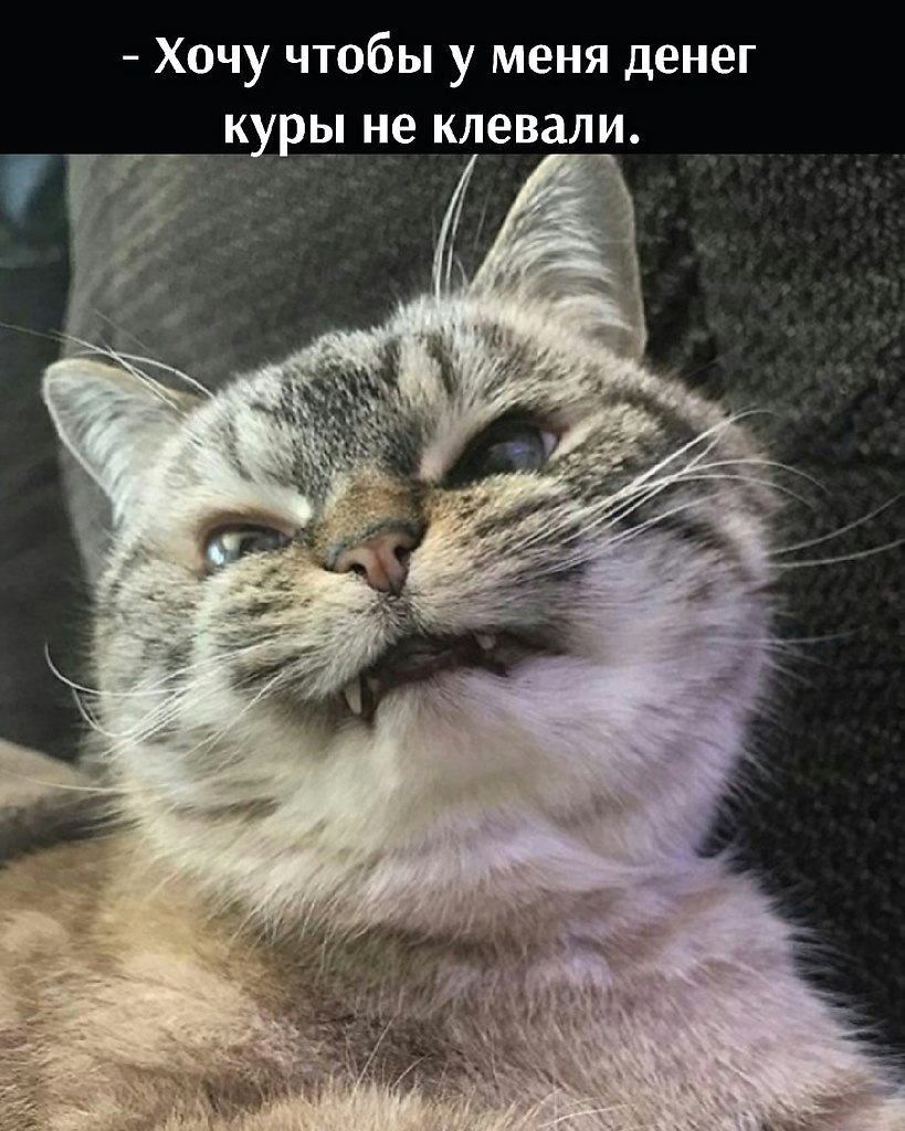       - 31  2021  13:31