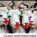 ���� �����, ���� - ��������� 27 ������� 2021 � ������ ���� ����������