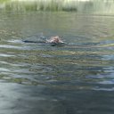 ���� ���������, �����, 67 ��� - ��������� 28 ����� 2021 � ������ ���� ����������