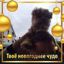 ���� �����, �������, 28 ��� - ��������� 1 ������� 2022 � ������ ���� ����������