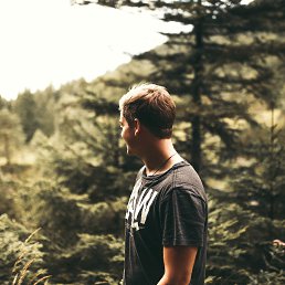 ������, ��������, 41 ���