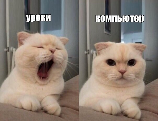 ☆   ☆ - 29  2021  14:37