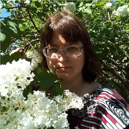 , 46, 