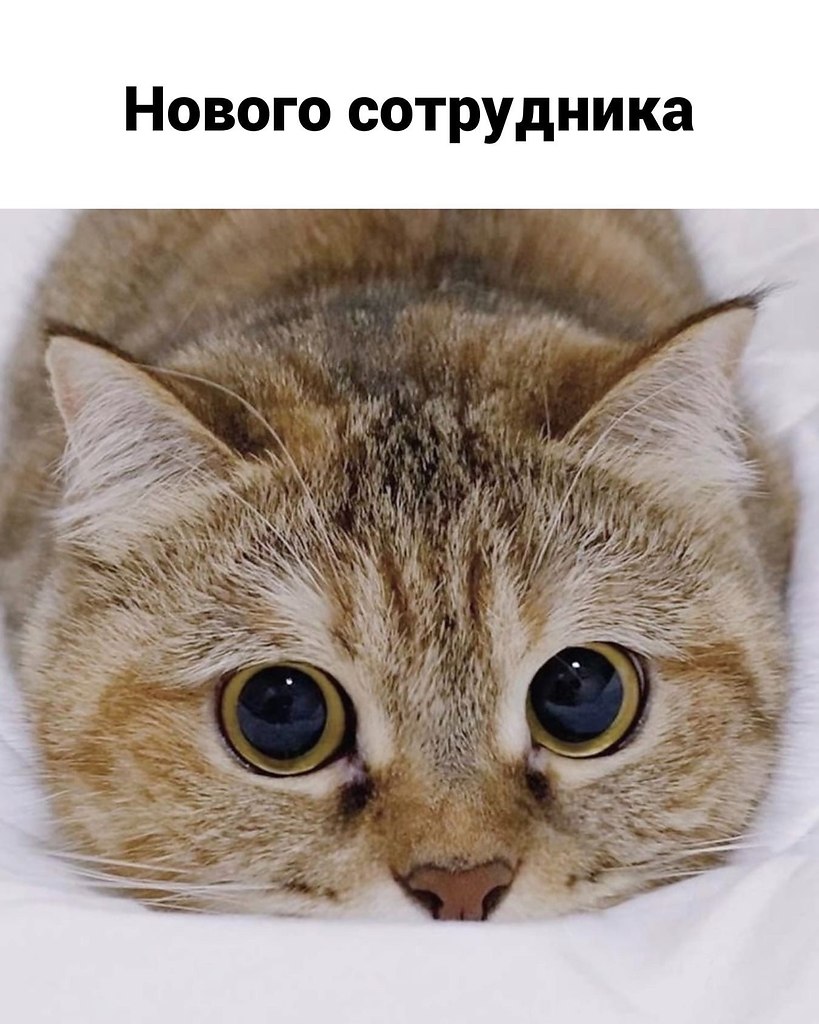    ,   ...  - 4