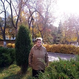 �������, ������, 66 ���