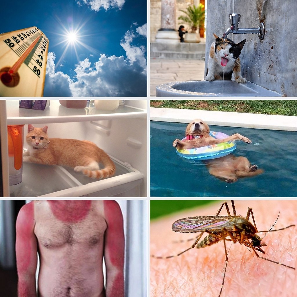 : ,   .