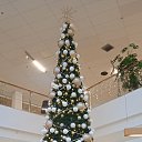 ���� "�����"))), ������ ���� - ��������� 12 ������� 2021 � ������ ������ ��������