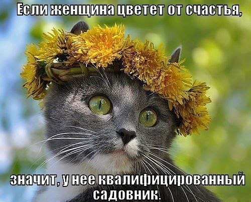  - 22  2021  11:12