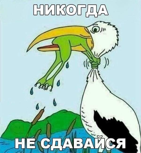   - 19  2021  10:37