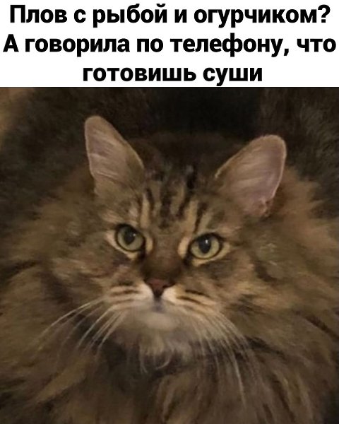 #@bon - 3
