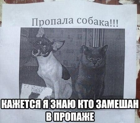   - 11  2021  12:19