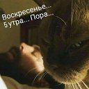 ���� �������, �������, 45 ��� - ��������� 20 ���� 2021 � ������ ������ ��������