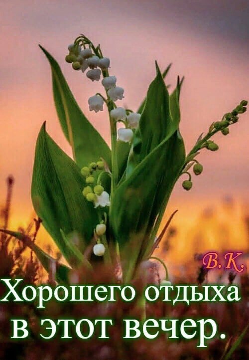   ,    . - 27  2021  15:41 - 4