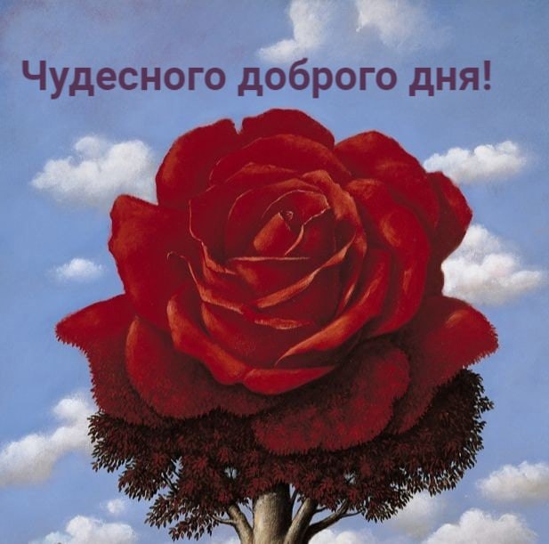   ,    . - 20  2021  00:01 - 6