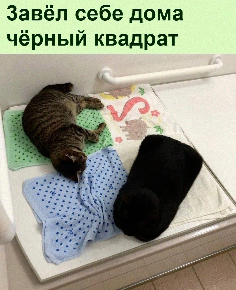   :D - 8  2022  18:41