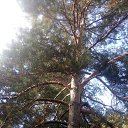 ���� Haver Santa, ���������� ����� - ��������� 28 ���� 2021 � ������ �:)�