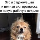 ���� ������, ������ - ��������� 1 ������� 2021 � ������ ���� ����������