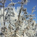 ���� ���������, ����� - ��������� 29 ������� 2021 � ������ ��������