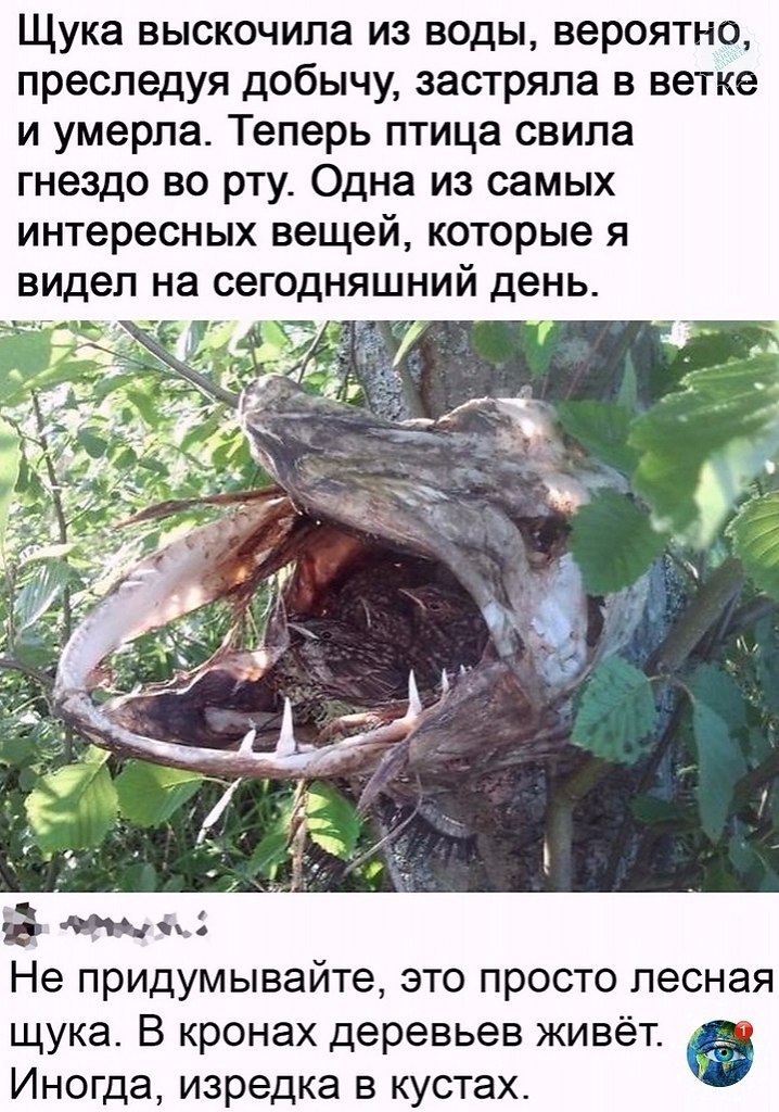 apco https://fotostrana.ru/away?to=/sl/m2t4atplant