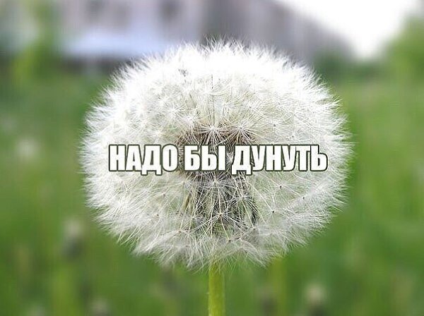 ***Victoria Viktorovna*** - 18  2021  14:46