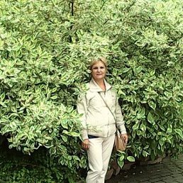 �������, �����-���������