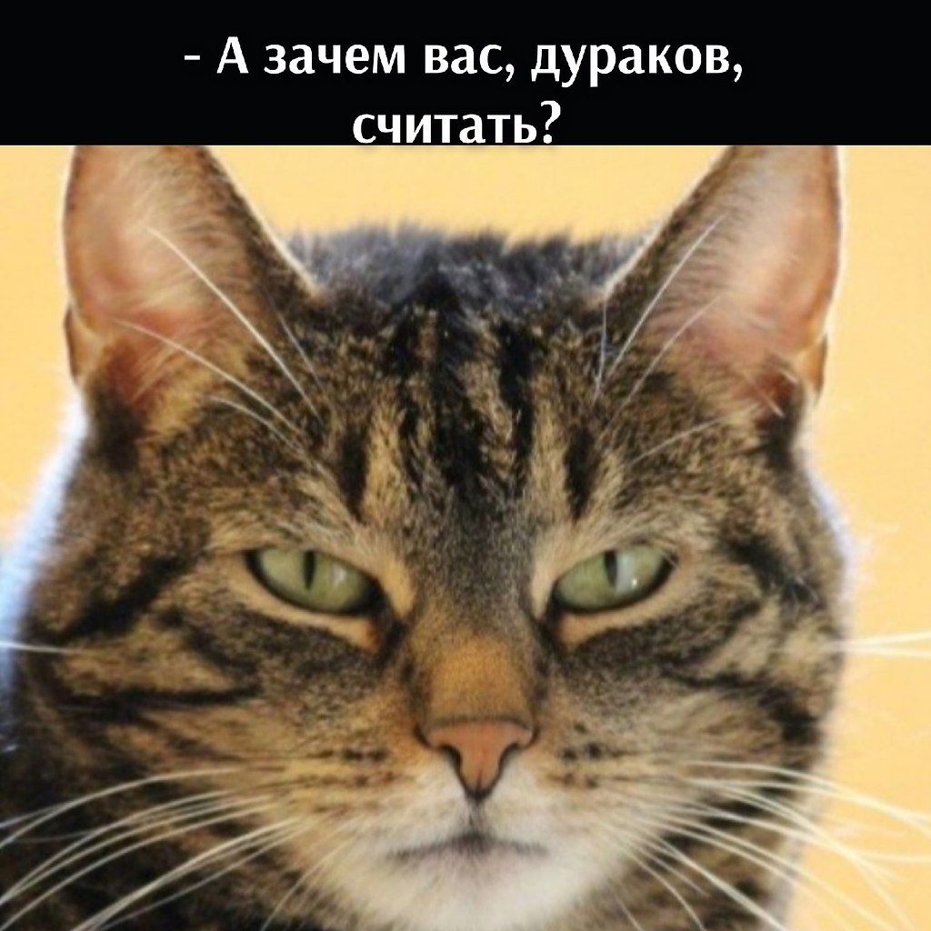       - 15  2021  10:26 - 3