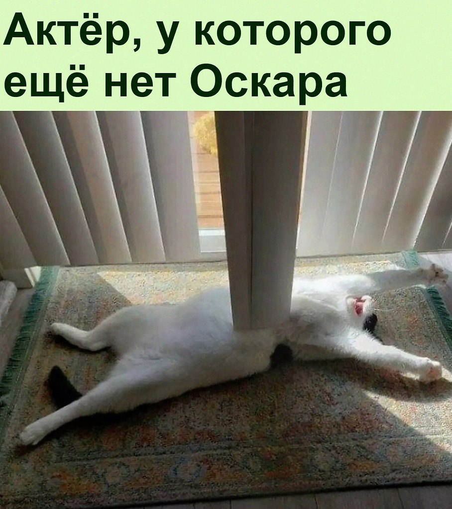   :D - 18  2021  20:37