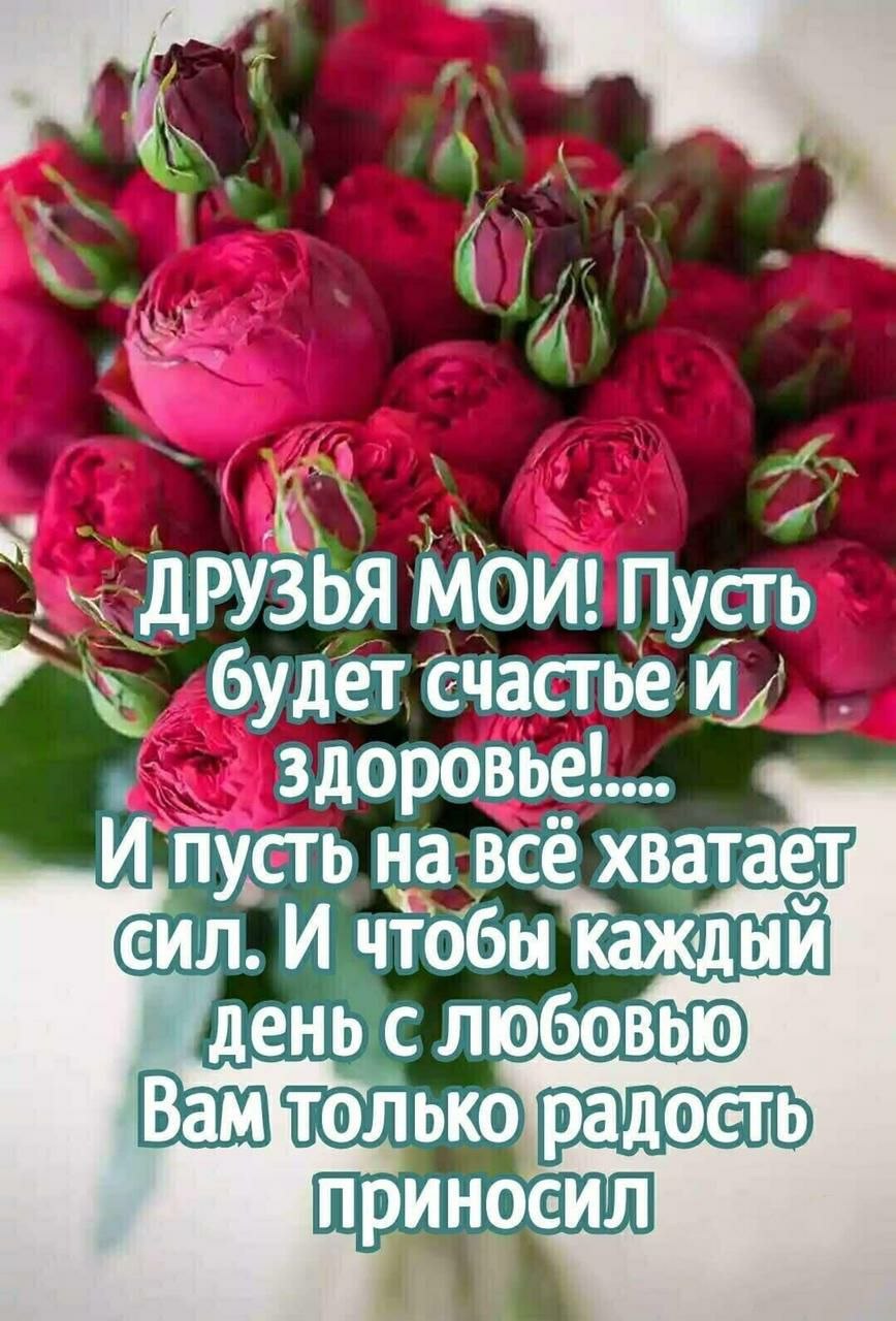 Счастья и здоровья в новом дне картинки