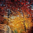���� ������, ����� - ��������� 9 ������� 2021 � ������ ��������