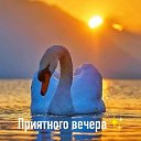  Galina...,  -  24  2022    