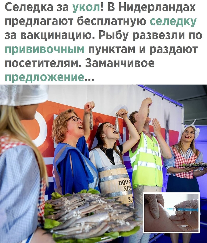    - 22  2021  08:01