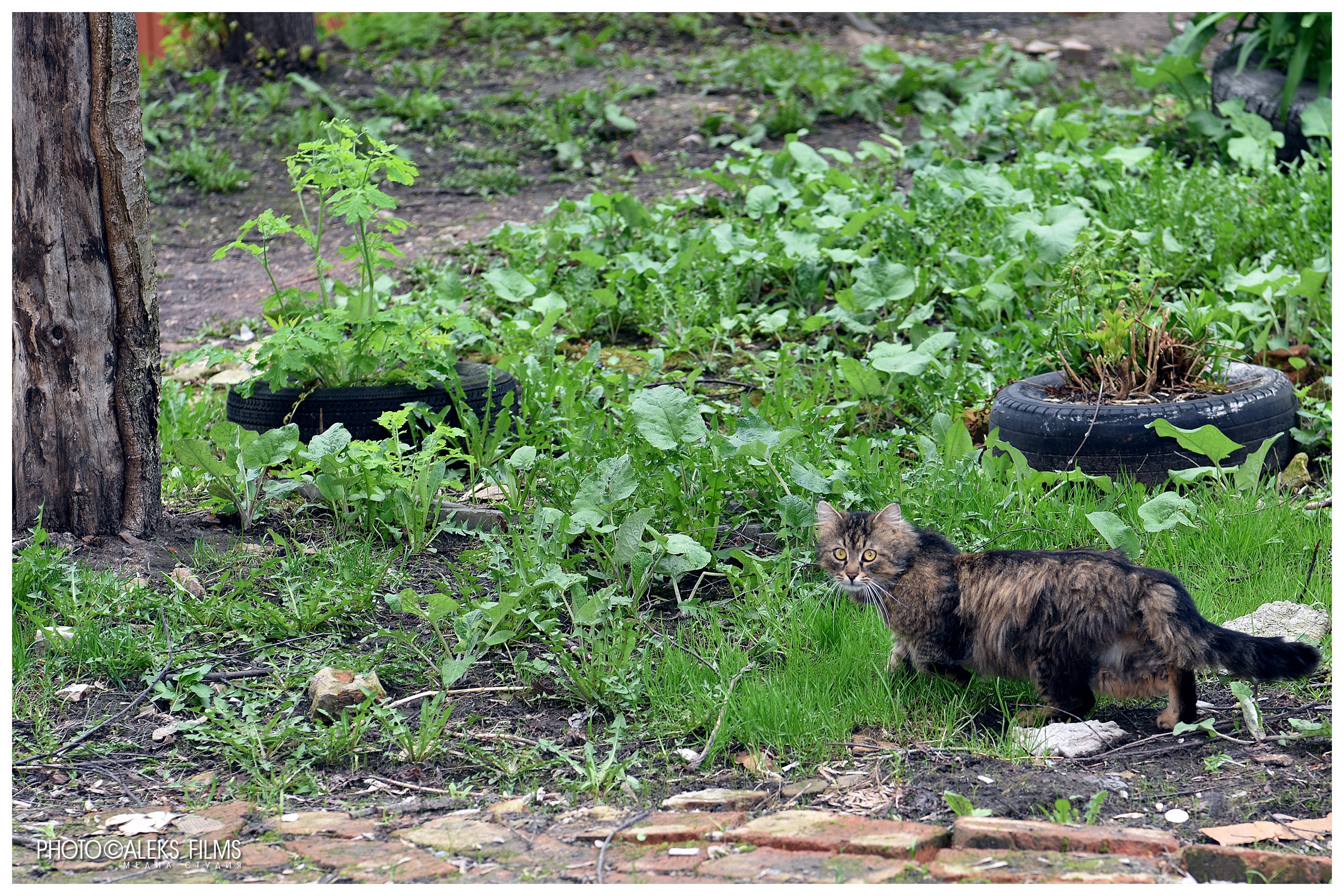 �������� ������