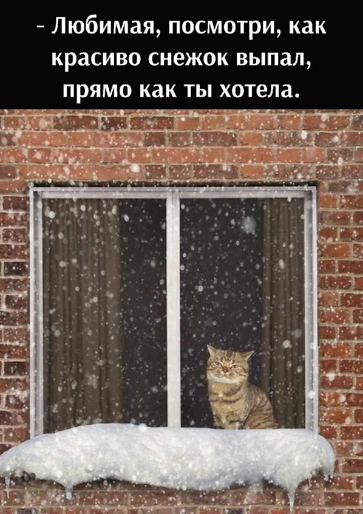       - 6  2022  22:31