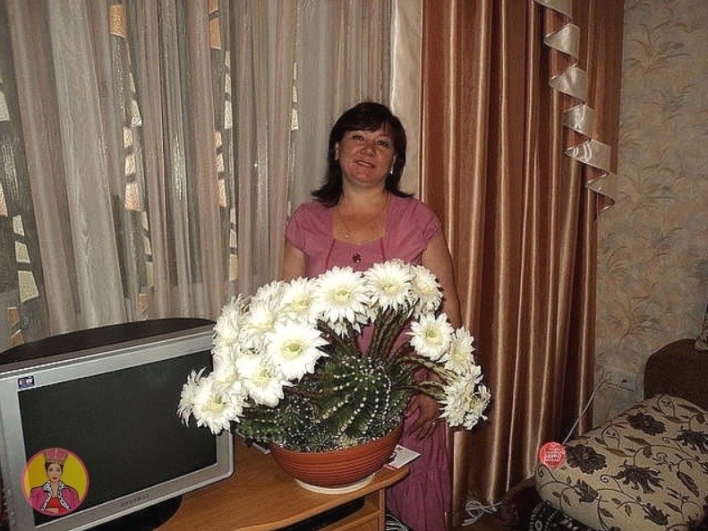 Редко вижу маму. Фото женщины с цветущим кактусом в Одноклассниках.