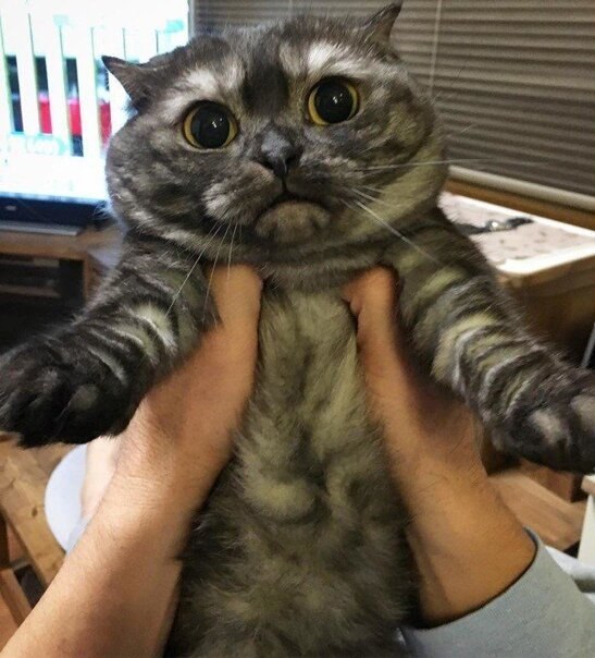   )