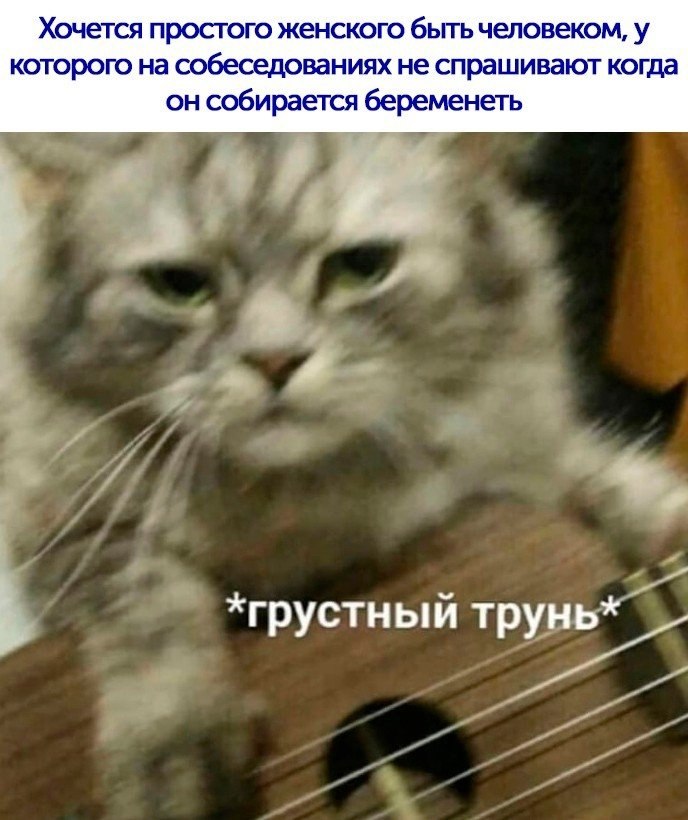   ,   - : 
