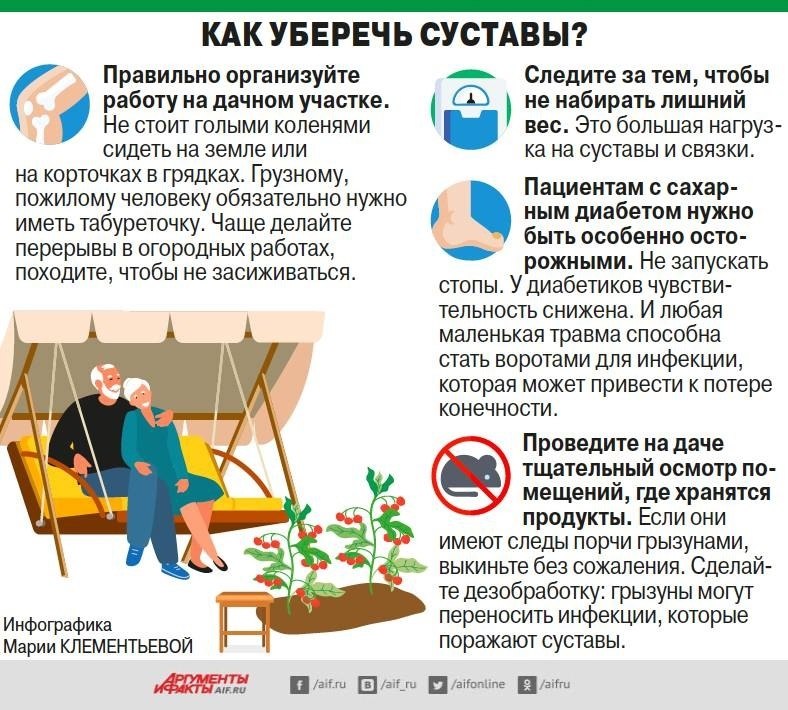 Болезни суставов: как не попасть прямо с грядок на стол к хирургу.Дачный сезон – испытание для ...