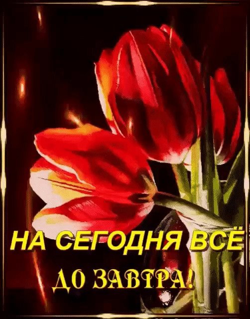   ,    . - 18  2021  22:32 - 10