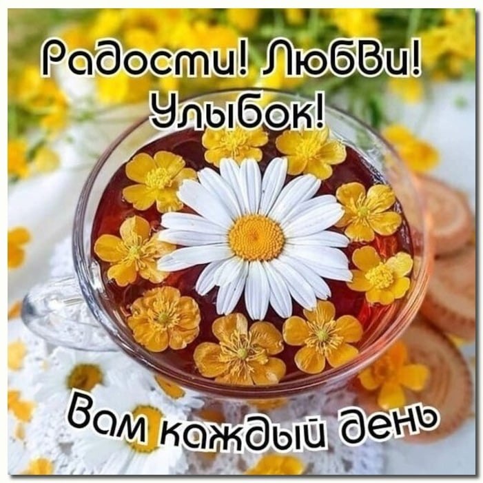   ,    . - 29  2021  20:31 - 7