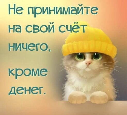    - 22  2021  17:15