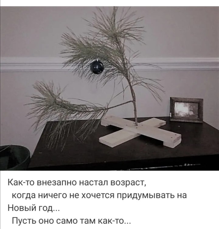 ***Victoria Viktorovna*** - 16  2021  04:47