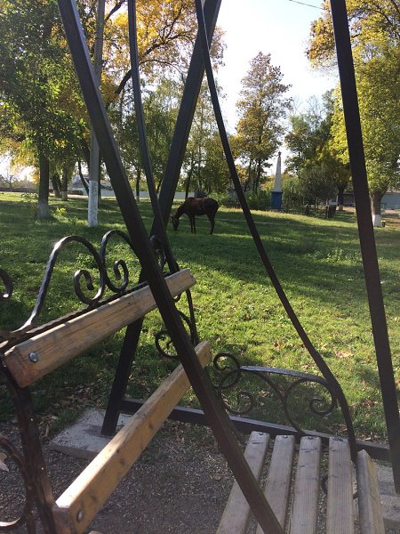 Всегда когда приезжаю в станицу где жил мой прадед ,прабабушка,где родина моей бабушки,мамы ... - 3