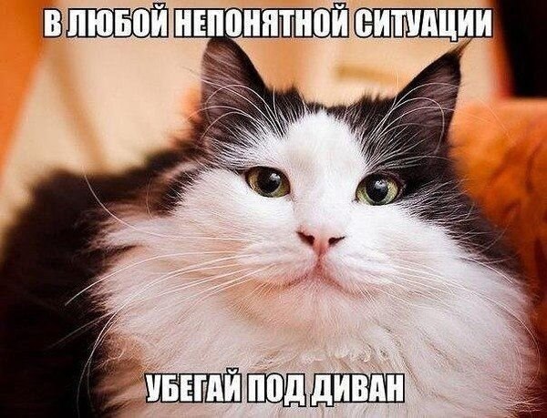    - 21  2021  21:12