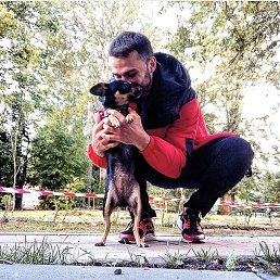 Natan, �������, 36 ���