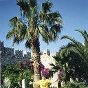 ���� ���������, ����, 56 ��� - ��������� 5 ������� 2021 � ������ ���� ����������