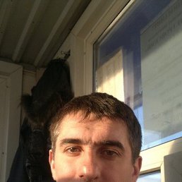 � �, 44 ����, ������