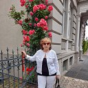 ���� ����, ��������, 69 ��� - ��������� 8 ������� 2021 � ������ ���� ����������