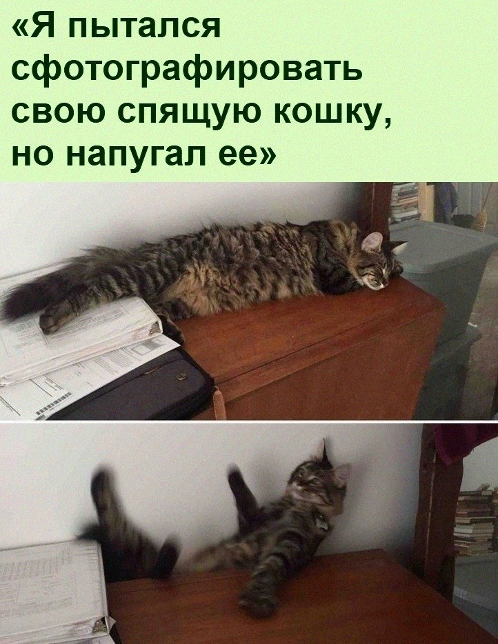   :D - 27  2022  08:39